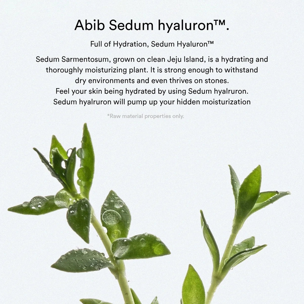 Abib Sedum Hyaluron Cream Hydrating Pot 80 ml — ingrediente Sedum em imagem oficial