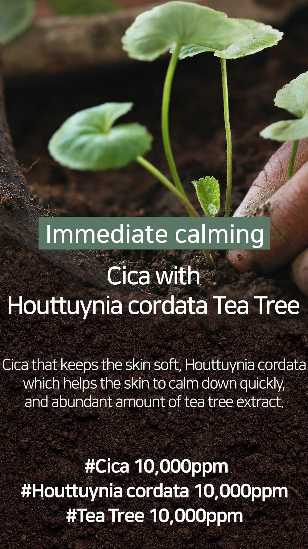 Mary&May Cica Houttuynia Cordata Tea Tree Calming — Máscara Facial 30 unidades