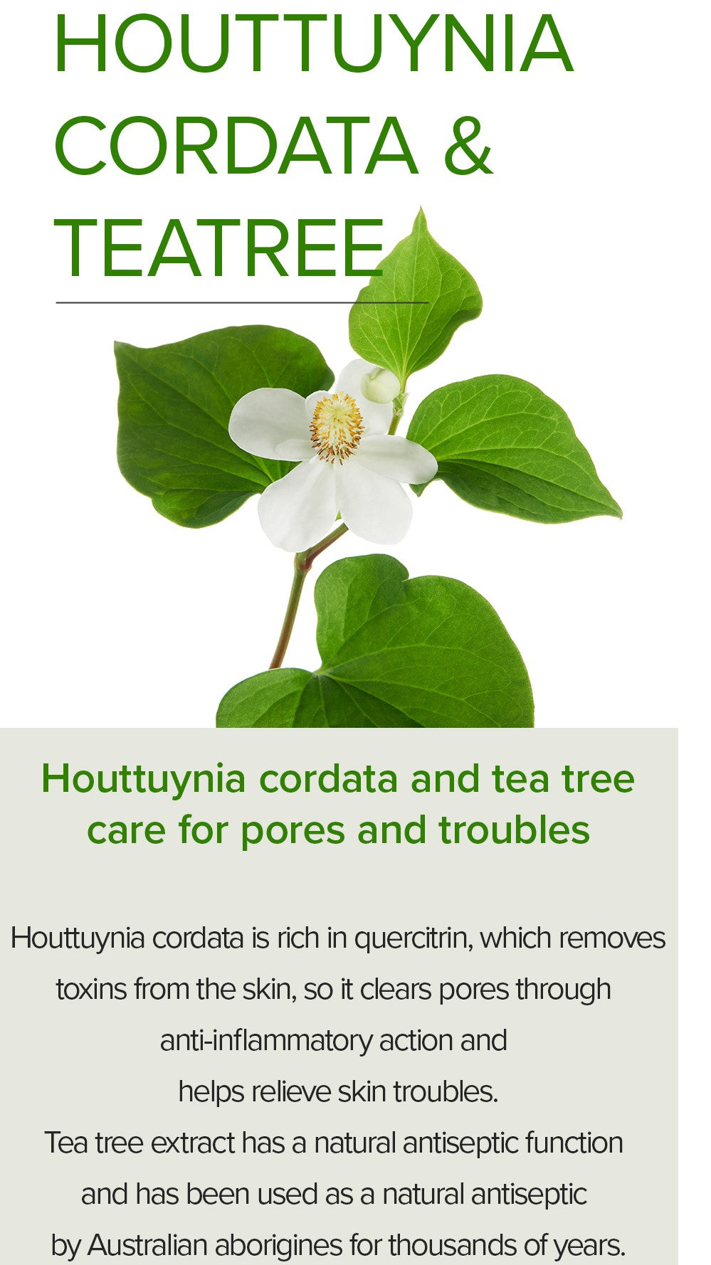 Mary&May Houttuynia Cordata + Tea Tree — Sérum Facial 30 ml