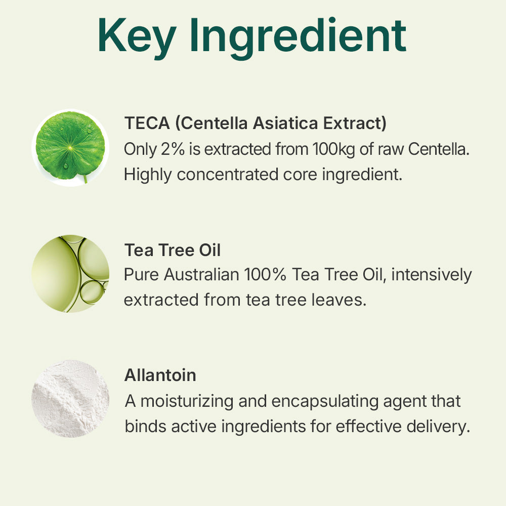 Centellian24 Madeca Powder Tea Tree AC — Pó de limpeza facial 6 g — foto oficial da marca